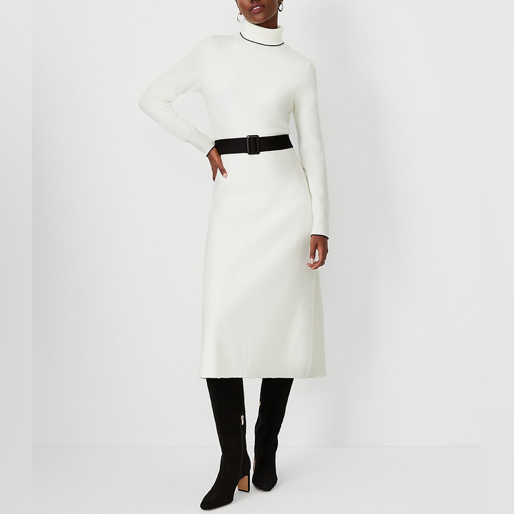 Tipped Belted Turtleneck Sweater Dress